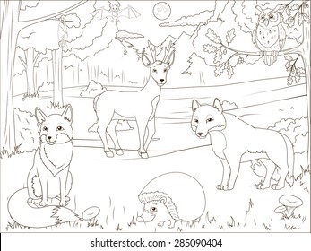 54,030 Forest coloring book Images, Stock Photos & Vectors | Shutterstock