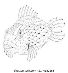 Coloring book. Freehand drawing with a fish on the white background. Image for coloring pages.