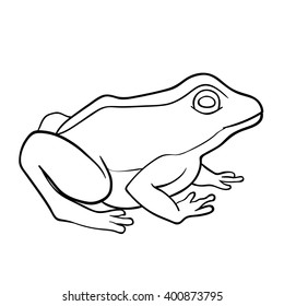 Coloring book: frog