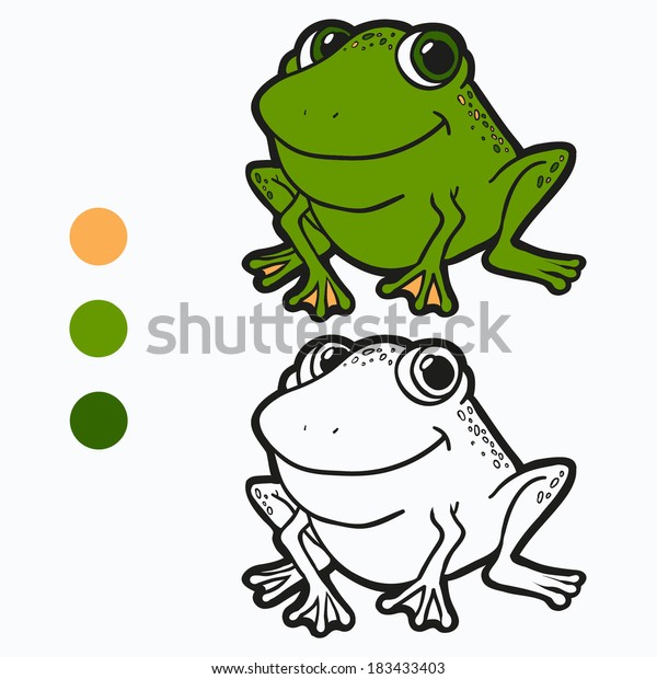 swamp song book frog