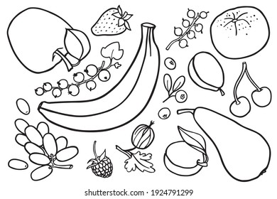 Coloring book with fruits images. Vector illustration.