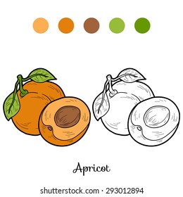 Coloring book: fruits and vegetables (apricot)