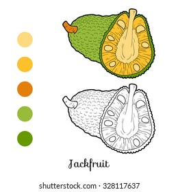 Coloring book: fruits and vegetables (Jackfruit)