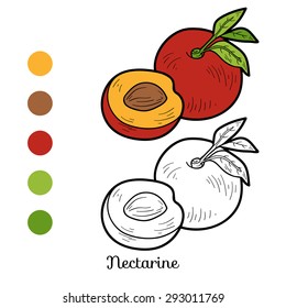 Coloring book: fruits and vegetables (nectarine)