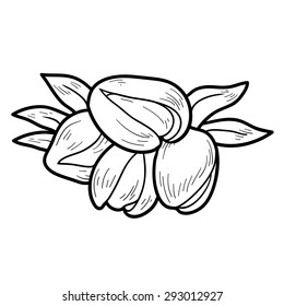 Coloring Book Fruits Vegetables Pistachios Stock Vector (Royalty Free ...