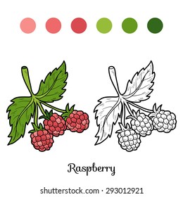 Coloring book: fruits and vegetables (raspberry)