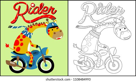 Coloring book of funny giraffe wearing helmet and scarf on motorcycle