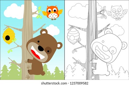Coloring book of funny little bear cartoon climb a tree to take honey in forest, owl fly above