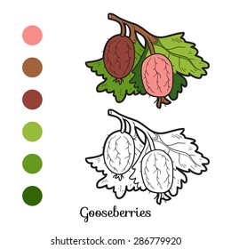 Coloring book (gooseberries)