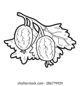 Coloring book (gooseberries)