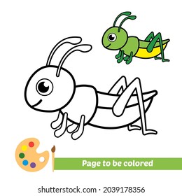 Libro de color, imagen vectorial de saltamontes