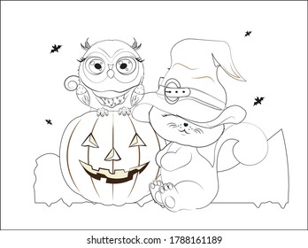 coloring book Halloween baby cat in hat and owl on pumpkin. Picture for t-shirt wear fashion print design, greeting card, postcard. baby shower. party invitation