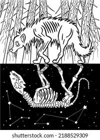 Coloring Book For Halloween. Horror For Adults. Wolf And Skeleton