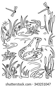  Coloring  book.  Hand drawn. Adults, children.Frog.Black and white. 