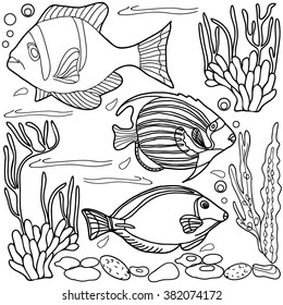  Coloring  book.  Hand drawn. Adults, children. Sea animals. Black and white. 