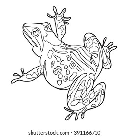  Coloring  book.  Hand drawn. Adults, children.Frog.Black and white. 
