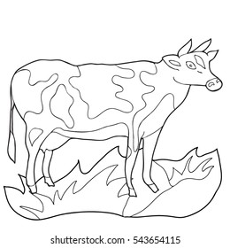 Coloring  book.  Hand drawn. Adults, children. Cow.  Black and white vector illustration.