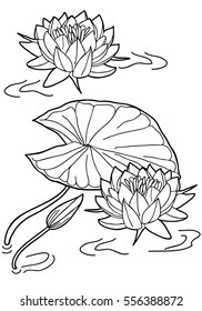 Coloring  book. Hand drawn. Adults, children.Black and white.Plants ponds, flowers, vector illustration, design elements