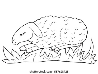 Coloring  book.  Hand drawn. Adults, children. Lamb.  Black and white vector illustration.