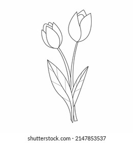  Coloring book. Hand drawn. Black and white. Adults, children. Tulip Flowers.