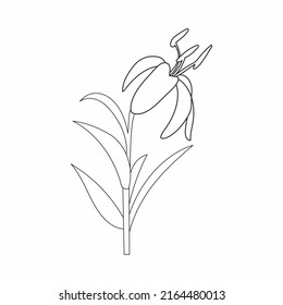 Coloring book. Hand drawn. Black and white. children. Flowers.