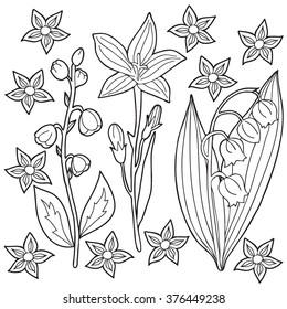  Coloring  book.  Hand drawn. Black and white.Adults, children.Flowers.