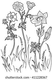  Coloring  book.  Hand drawn. Black and white.Adults, children.Flowers.