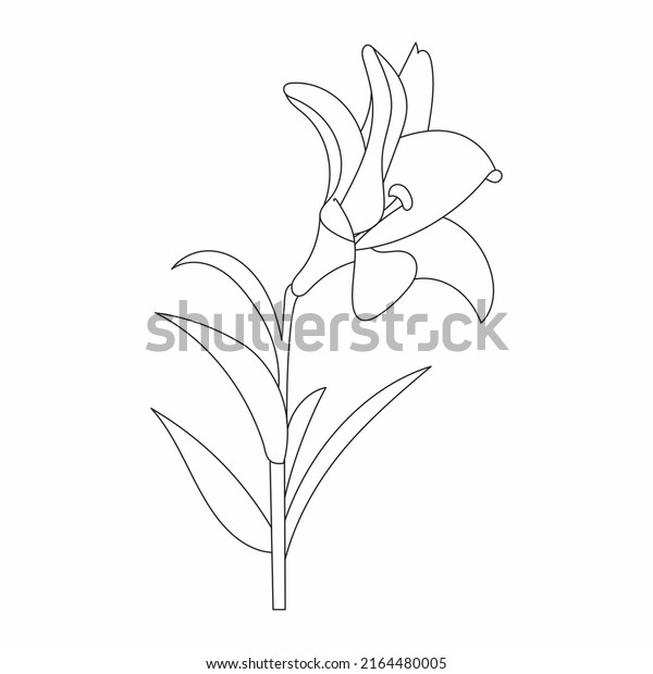 Coloring Book Hand Drawn Black White Stock Vector (Royalty Free