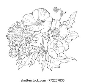 Coloring book with hand drawn flowers. Black and white summer illustration.
