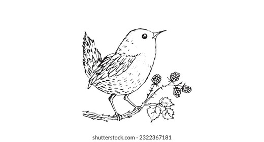 Coloring book happy birds for kids. Funny birds, flowers, leaves and berries. Flat vector illustration with cartoon bird silhouette. Cute characters. Minimalist poster design. 