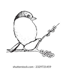 Coloring book happy birds for kids. Funny birds, flowers, leaves and berries. Flat vector illustration with cartoon bird silhouette. Cute characters. Minimalist poster design. 