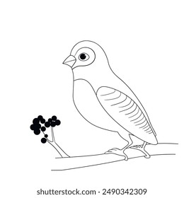 Coloring book happy birds for kids. Funny birds, flowers, leaves and berries. Flat vector illustration with cartoon bird silhouette. Cute characters. Minimalist poster design. 