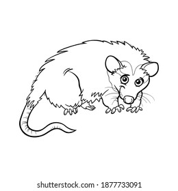 Coloring Book Happy mouse. Vector illustration