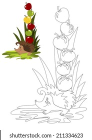 Coloring book with hedgehog vector illustration.