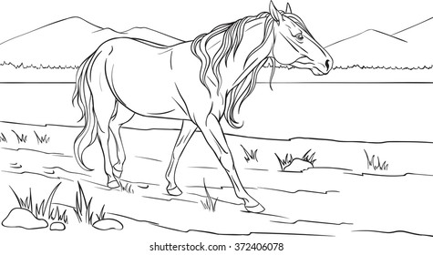 Coloring book with a horse