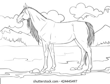 Coloring book with a horse