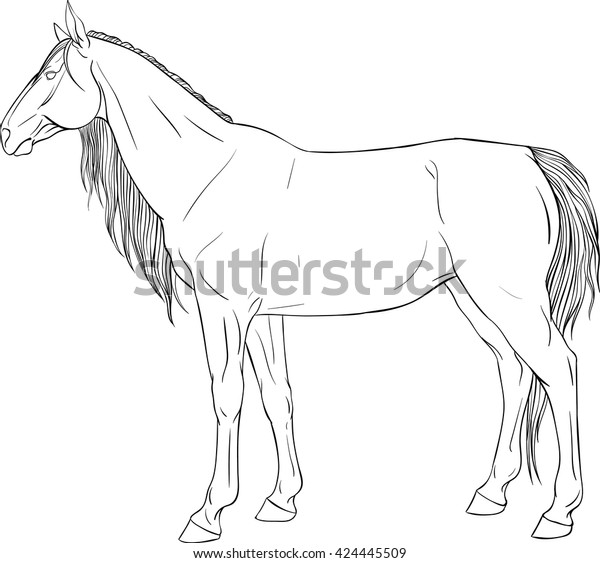 Coloring Book Horse Stock Vector (Royalty Free) 424445509