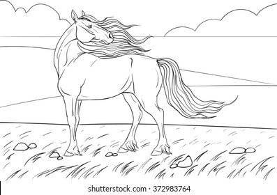 Coloring book with a horse and background