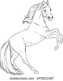 Coloring book with horse. Black and white outline.