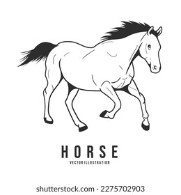 Coloring book with a horse vector