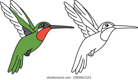 Coloring Book Hummingbird with Guide Color