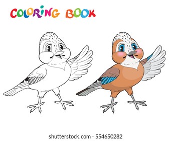 Coloring book with jay bird. Vector illustration. Isolated bird on white background.