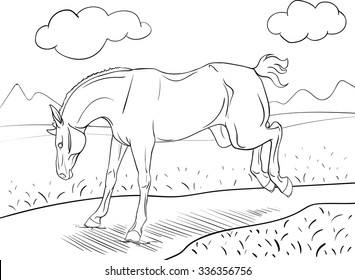 Coloring book with a kicking horse and background