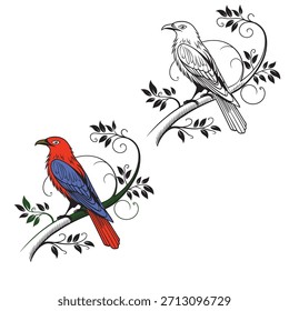 Libro para colorear para el Vector del pájaro del niño