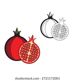 coloring book for kid pomegranates vector 