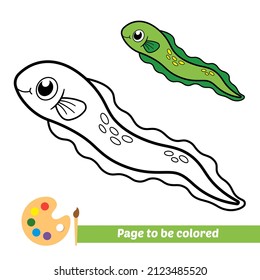 Coloring book for kids, eel vector