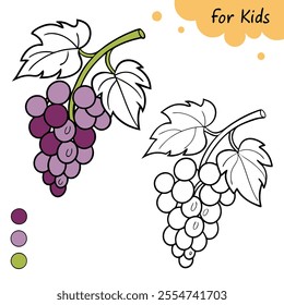 coloring book for kids grape two pictures