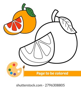 coloring book for kids, grapefruit vector