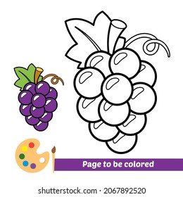 Coloring book for kids, grapes vector