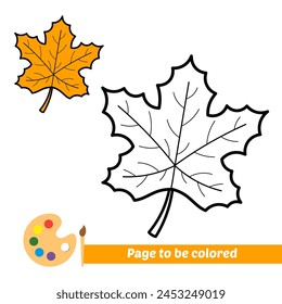 coloring book for kids, maple leaf vector